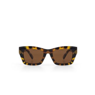 TC Havana Sunglasses Tortoise - NEW WINTER 2022