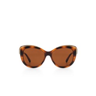 TC Bahama Sunglasses Tortoise - NEW WINTER 2022