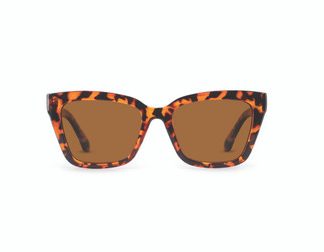 TC Sol Sunglasses Tortoise - NEW 2024