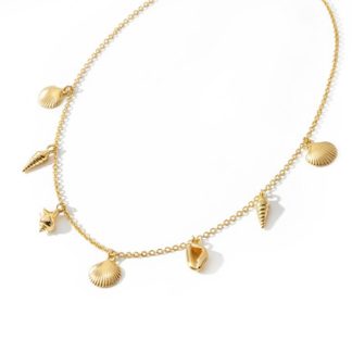 Tc Under The Sea - Shell Necklace Gold