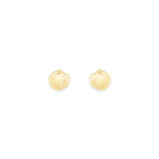 Tc Under The Sea - Shell Stud Earrings Gold